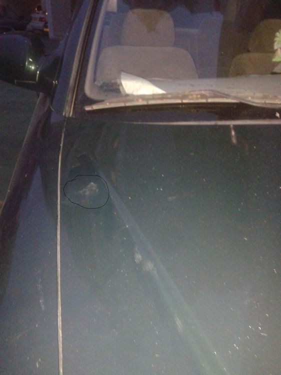 20140323_180702.jpg