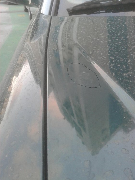 20140325_174331.jpg