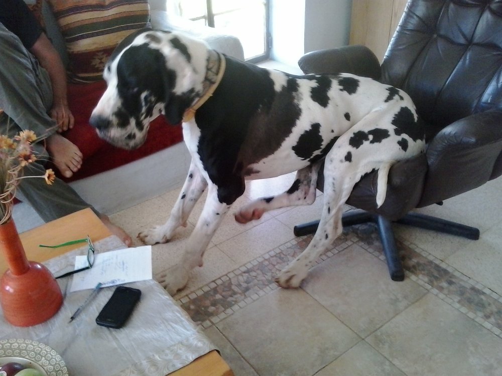 20140414_112205.jpg