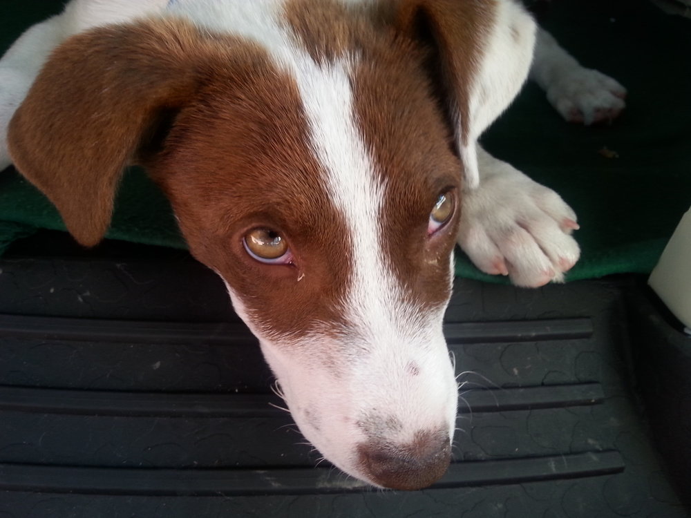 20140417_161316.jpg