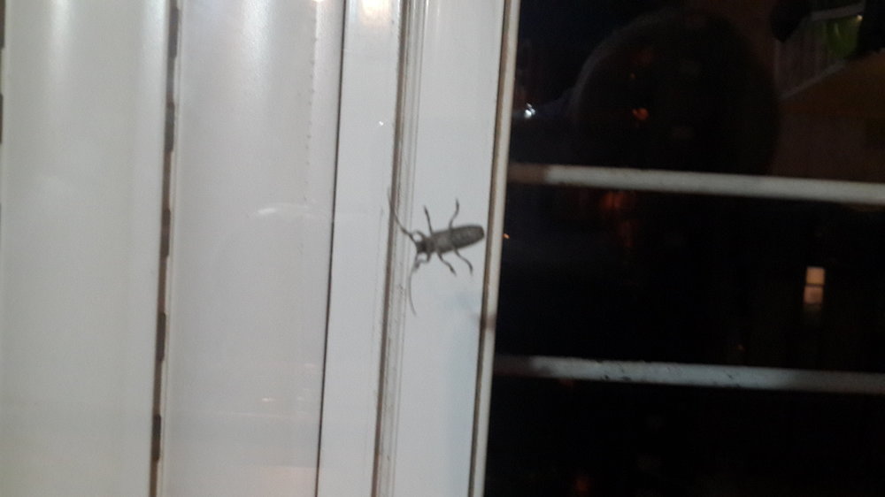 20140419_203847.jpg