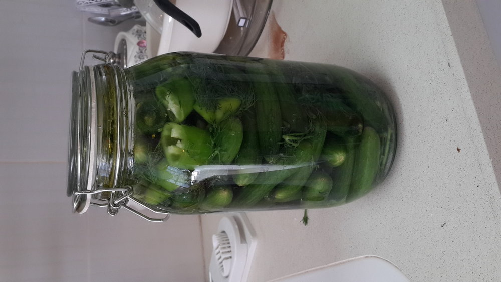 20140523_143016.jpg