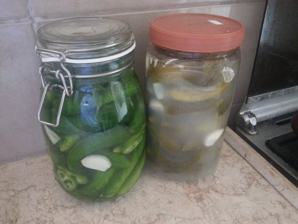 20140715_121338.jpg