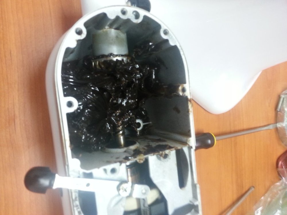 20141015_160440.jpg