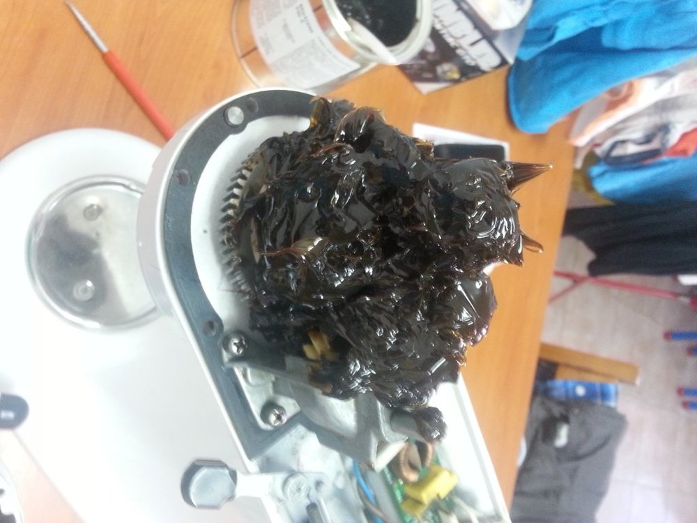 20141015_160443.jpg