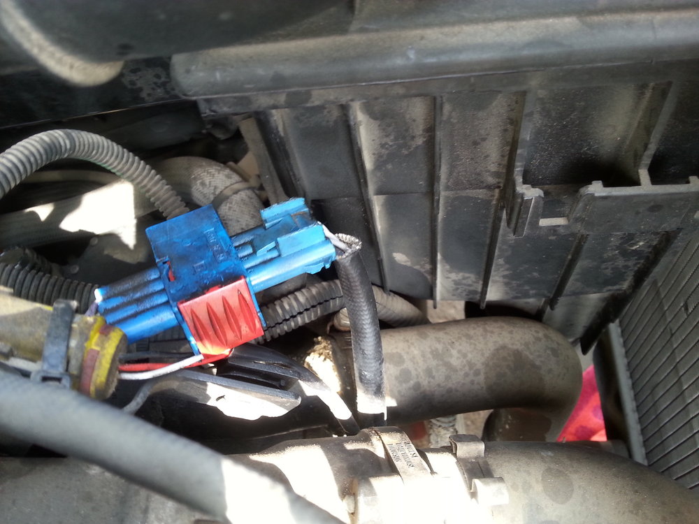 20141017_111235.jpg