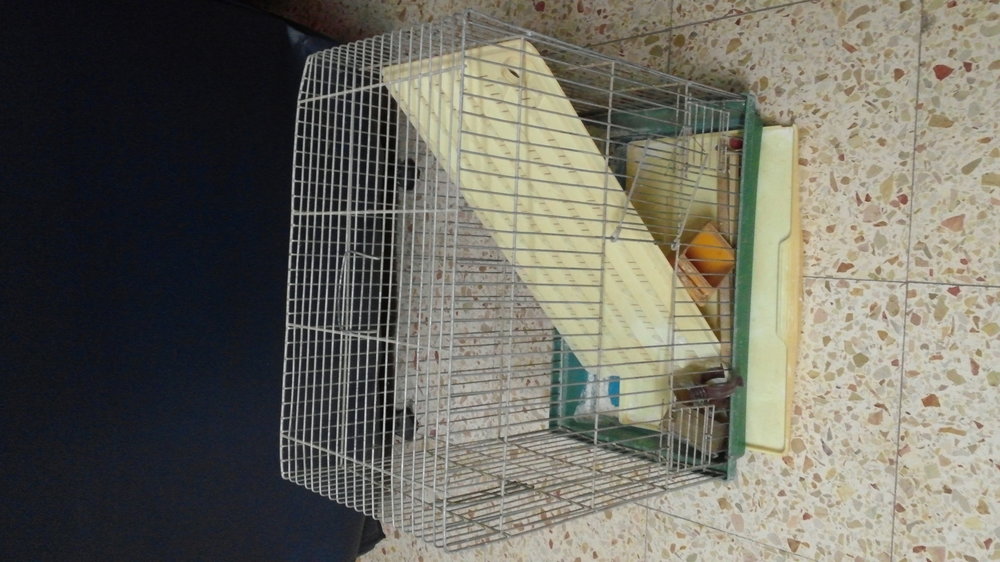 20141028_191157.jpg