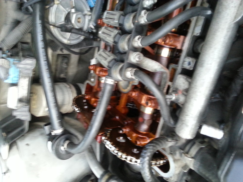 20141115_162500.jpg