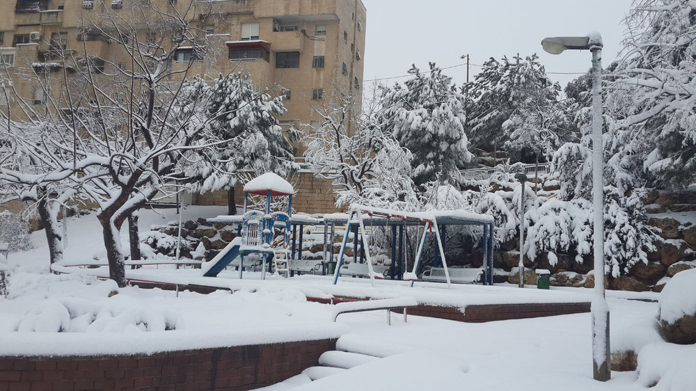 20150220_071640s.jpg