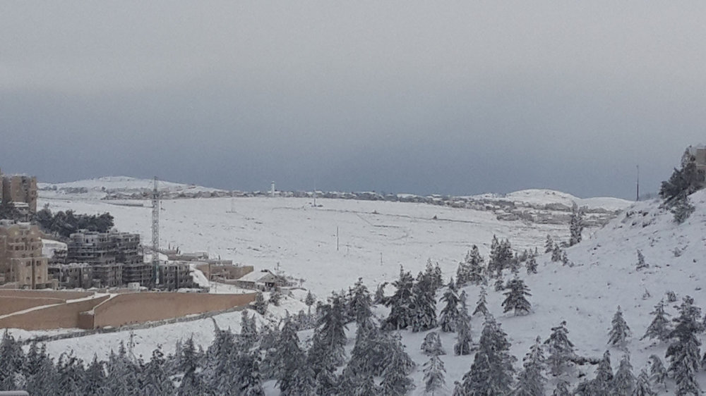 20150220_071849s.jpg