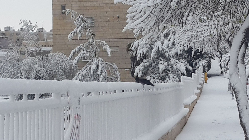 20150220_072014s.jpg