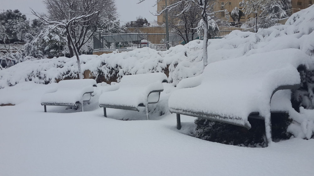 20150220_072259s.jpg