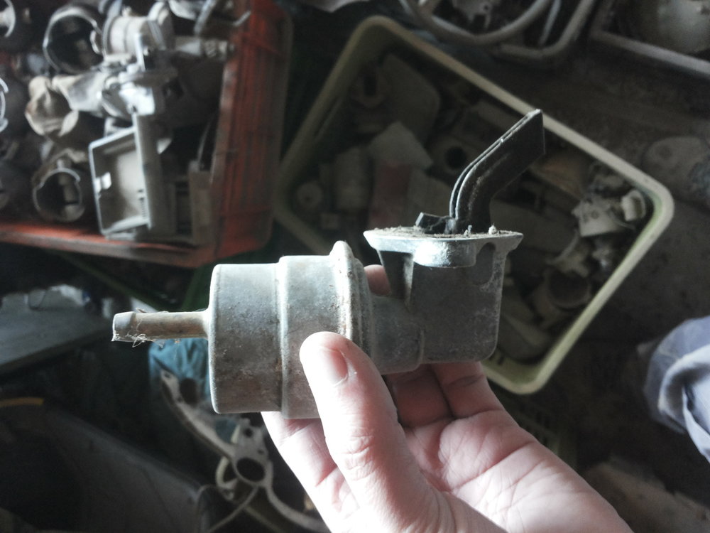 20150220_101235.jpg