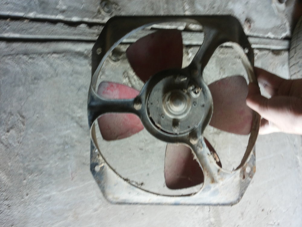 20150220_103105.jpg