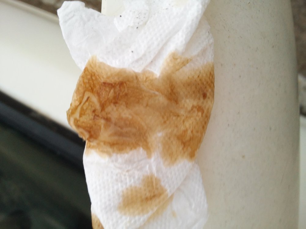 20150226_173146.jpg
