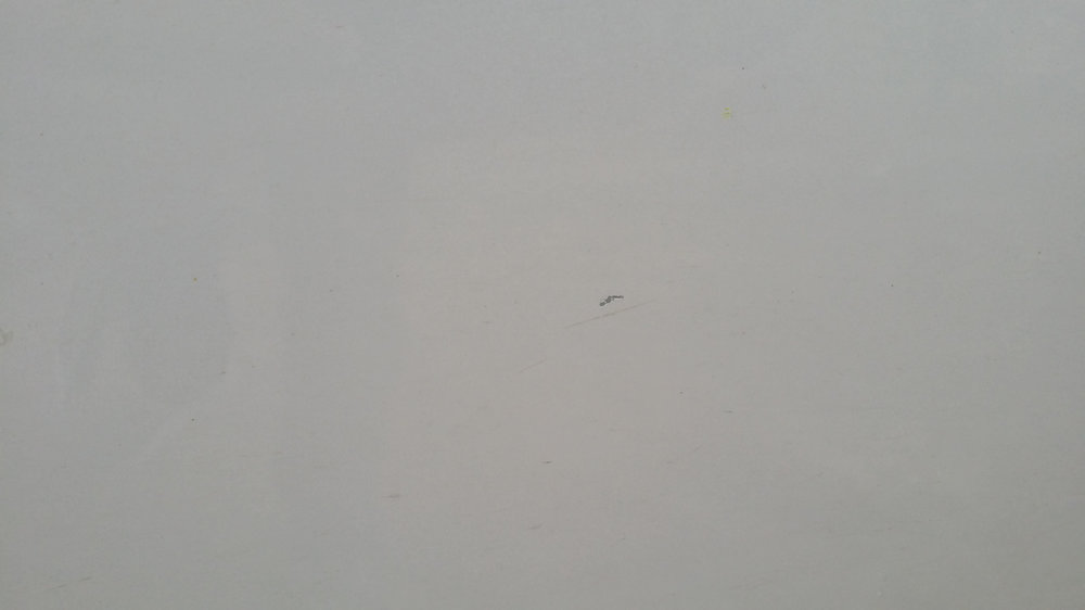 20150323_152345.jpg