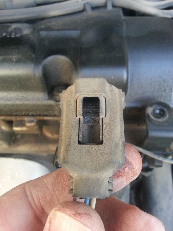 20150410_161429.jpg