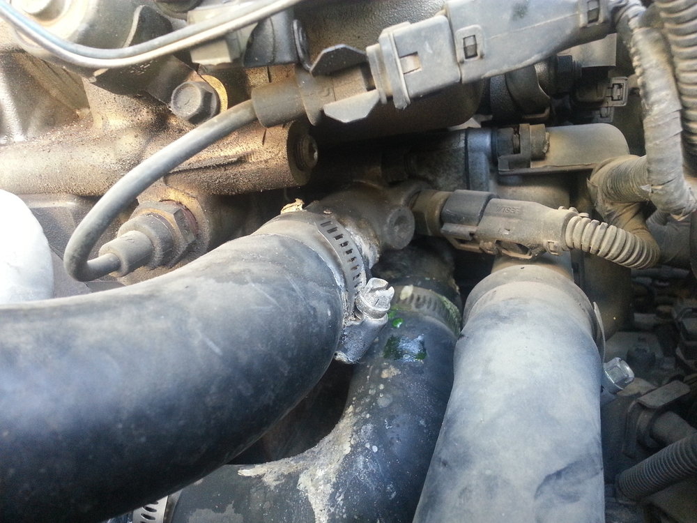 20150410_162334.jpg