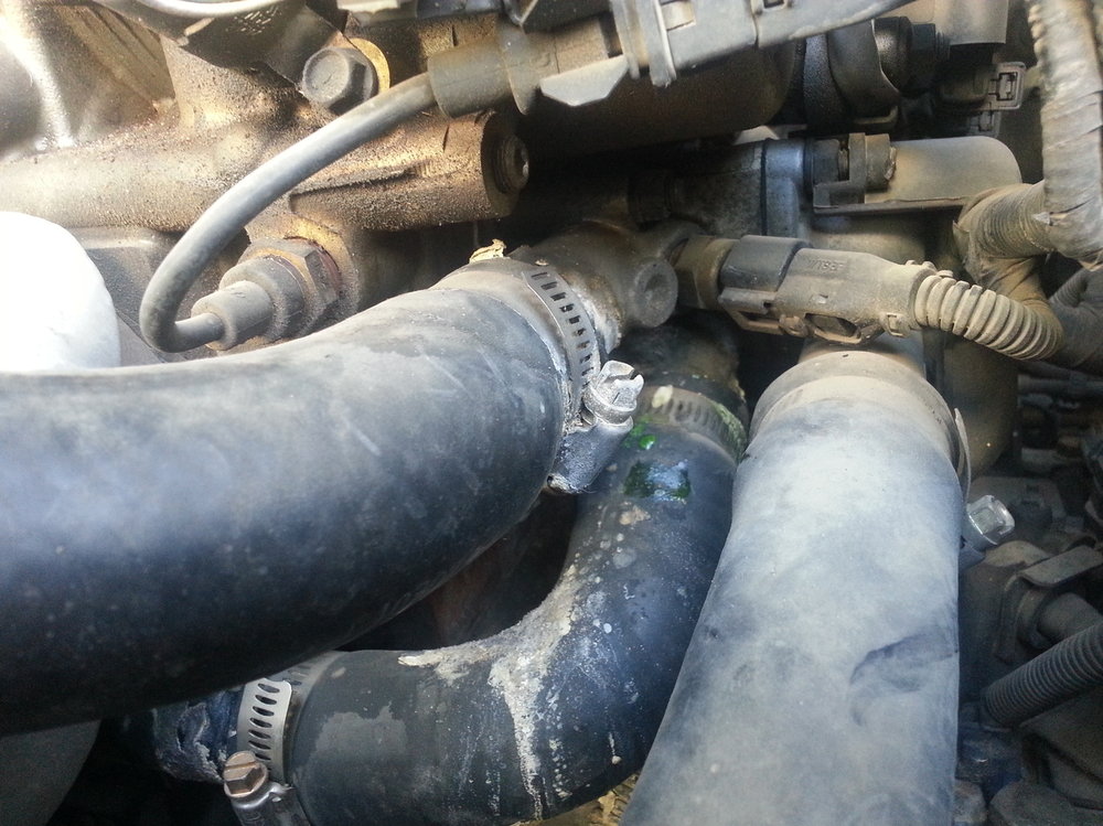 20150410_162340.jpg
