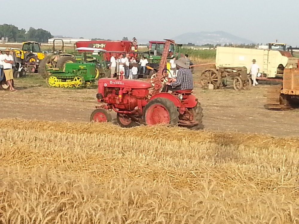 20150524_183312_2.jpg