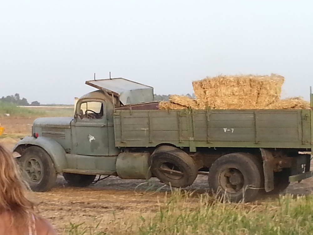 20150524_190356.jpg