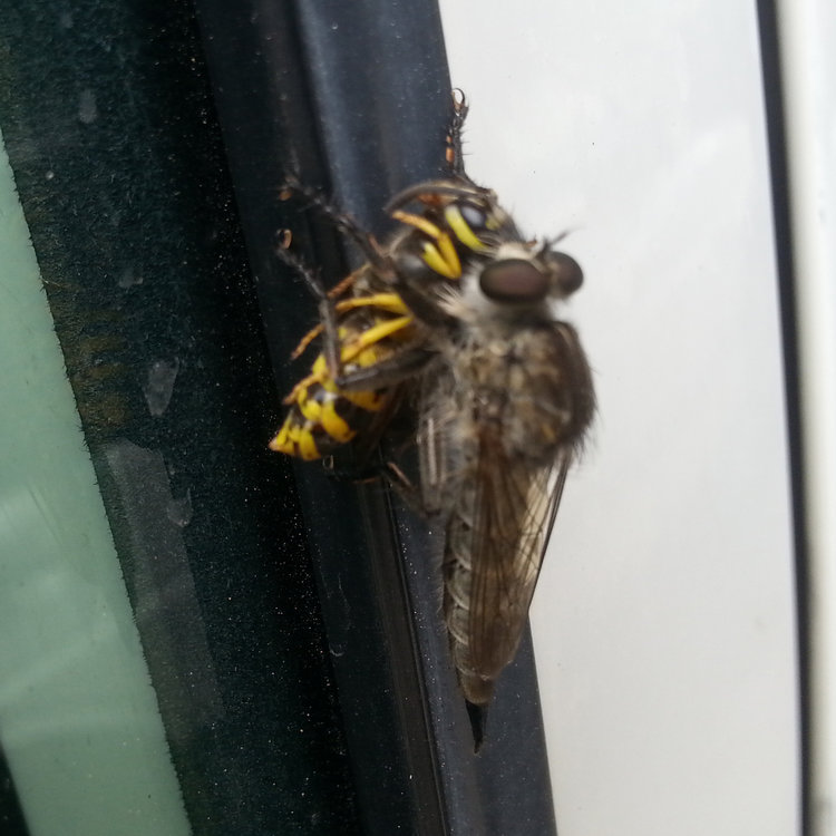 20150612_124432.jpg