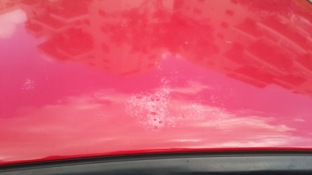 20150626_142314.jpg