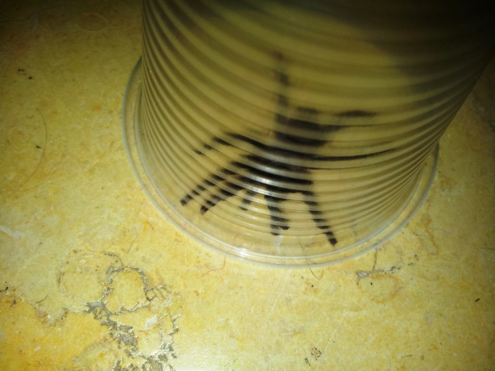 20151219_180632.jpg