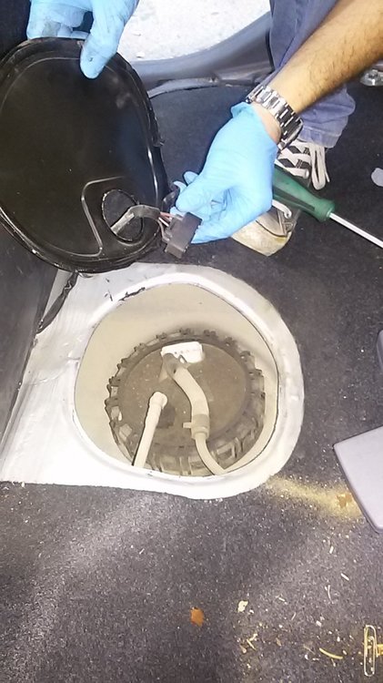 20160211_170909.jpg