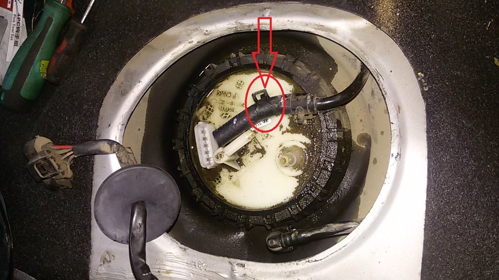 20160211_171446.jpg