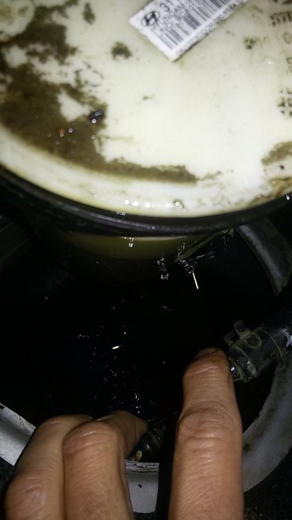 20160211_171841.jpg