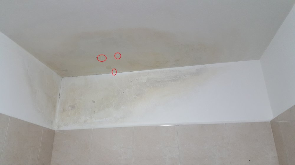 20160311_135031.jpg