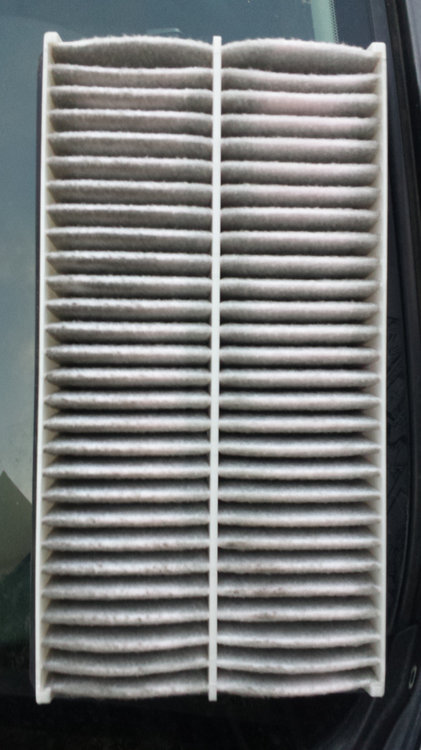 20160402_185438.jpg
