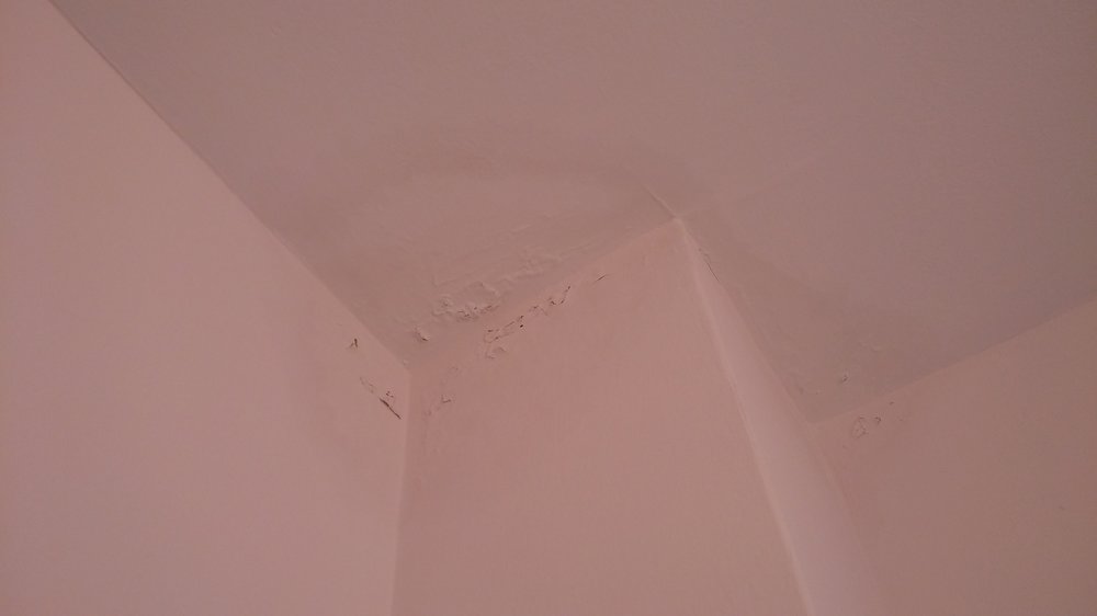 20160422_095448.jpg