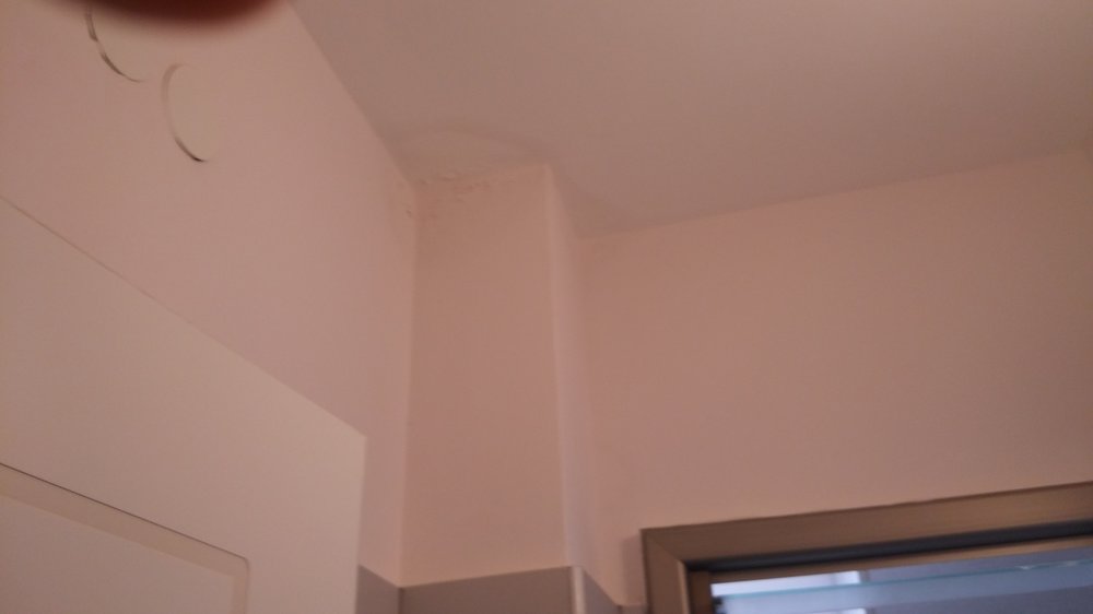 20160422_095457.jpg
