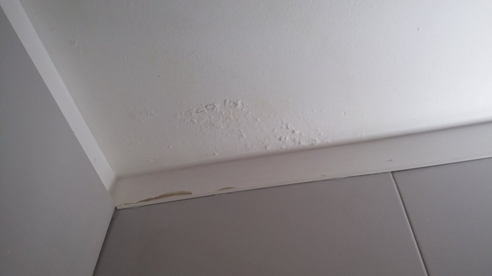 20160422_095522.jpg