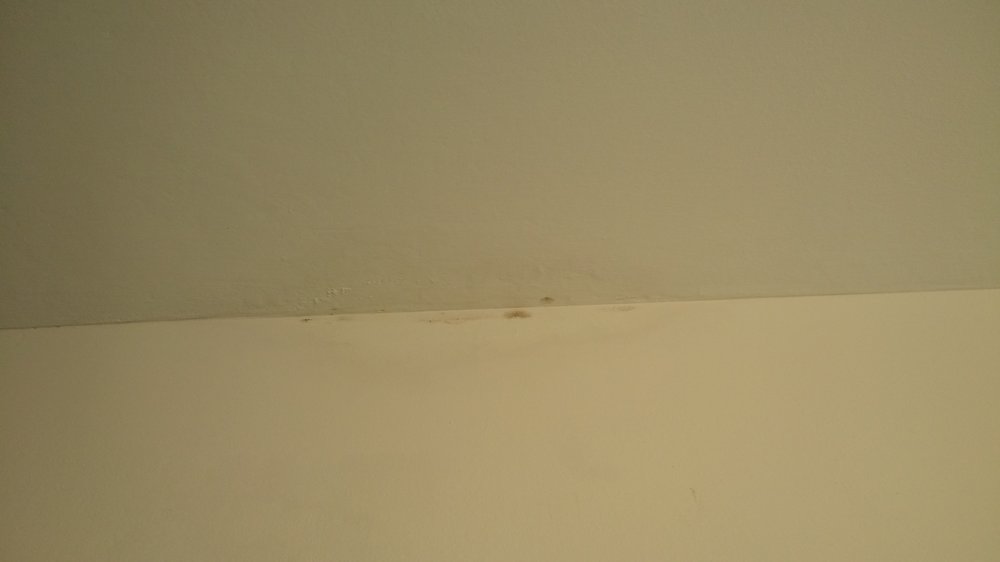 20160422_095557.jpg