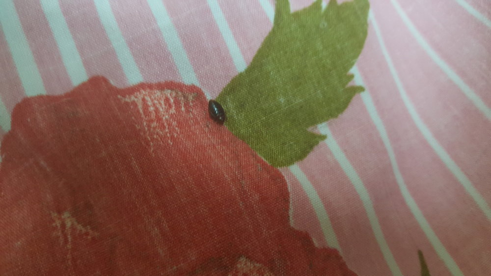 20160502_170353.jpg