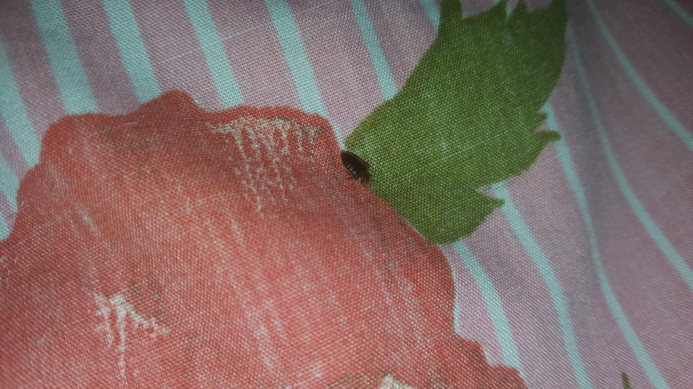 20160502_170405.jpg