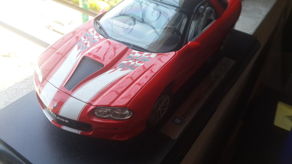 20160618_145031.jpg