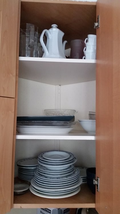 20160816_110714.jpg