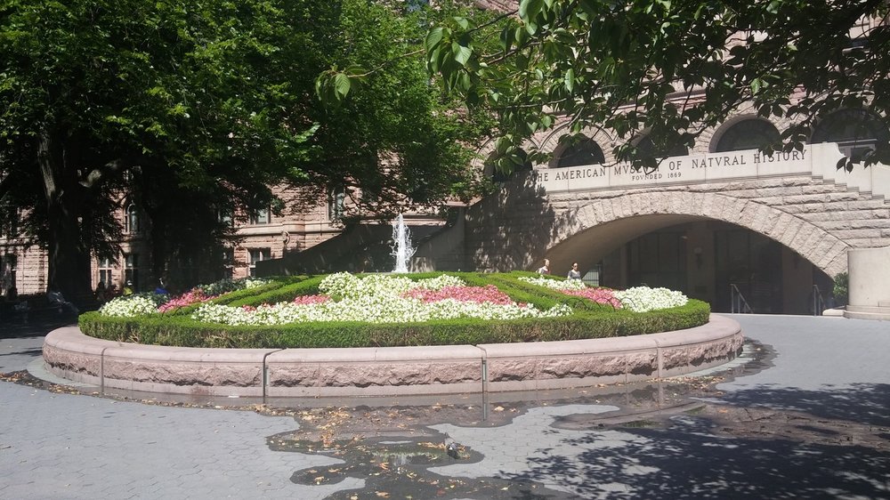20160829_131324.jpg