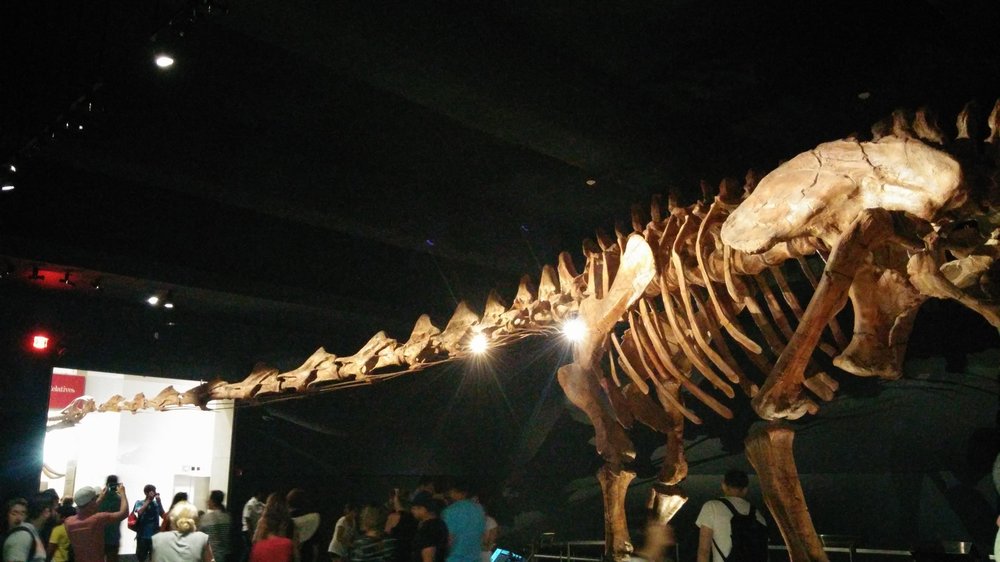 20160829_170315.jpg