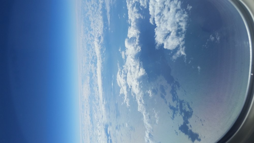 20160929_124250.jpg