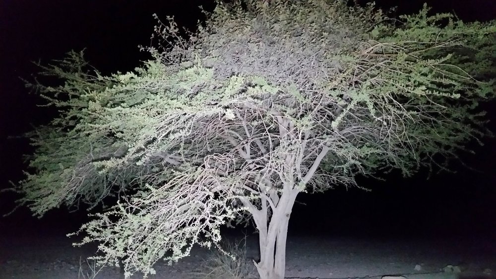 20161020_210312.jpg
