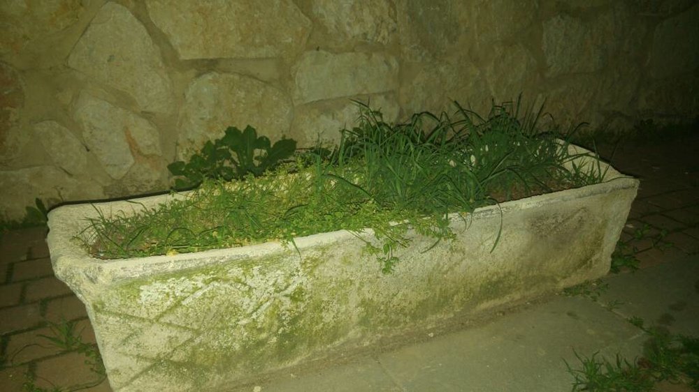 20170307_001714.jpg