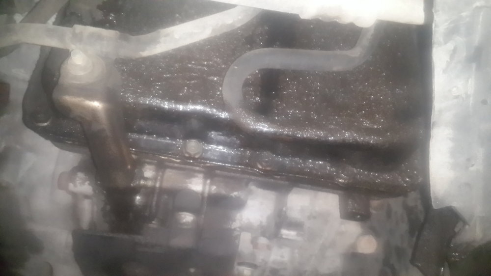 20170407_205725.jpg