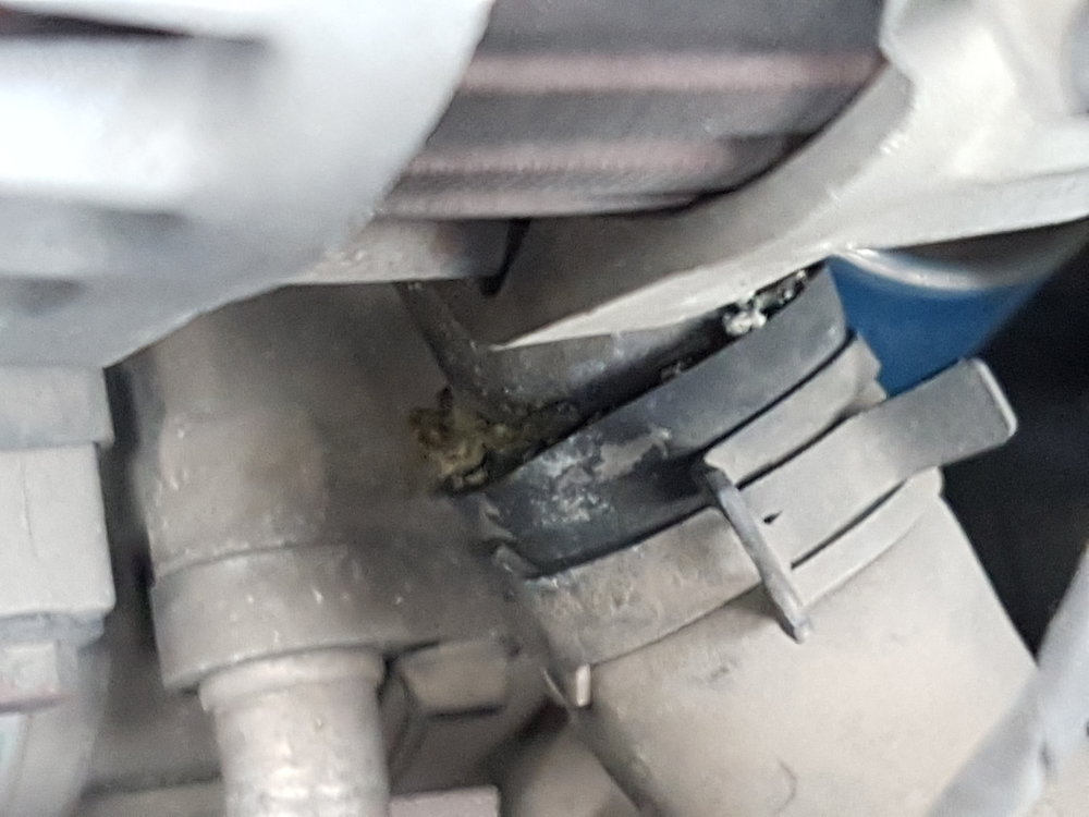 20170413_174401.jpg