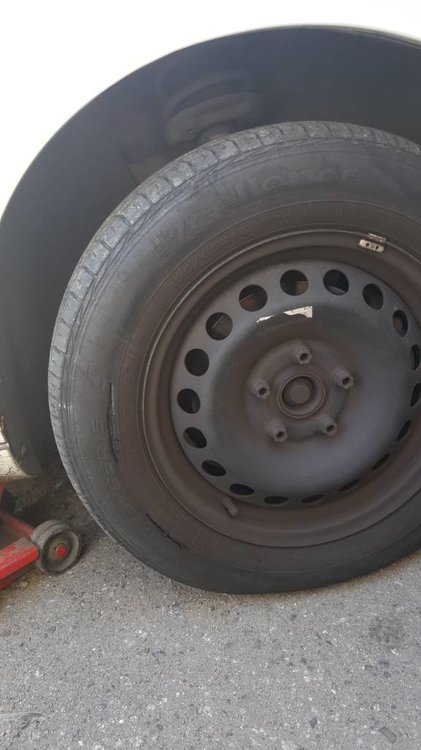 20170616_110157.jpg
