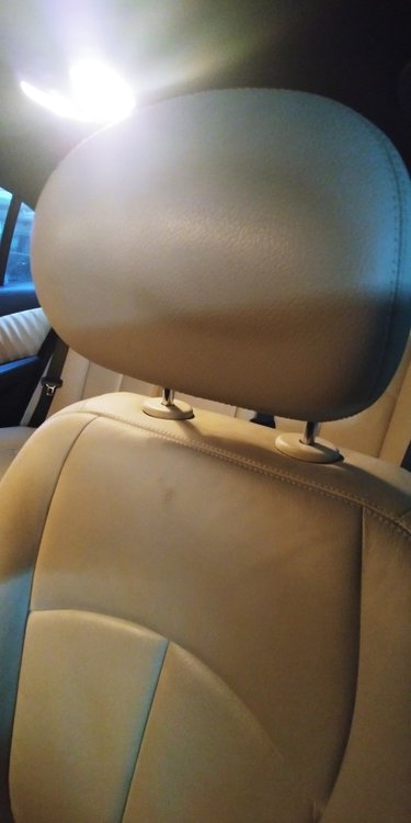 20171005_123237.jpg